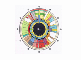 Iris Analysis